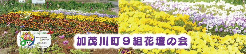 【地域花壇】加茂川町９組花壇の会