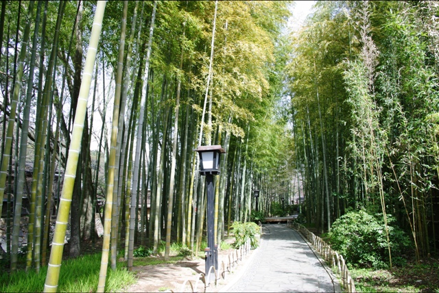 대나무숲길(치쿠린노 코미치)